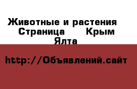  Животные и растения - Страница 11 . Крым,Ялта